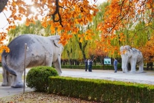 Pékin : Palais d'été, Route sacrée et Tombeaux Ming visite privée