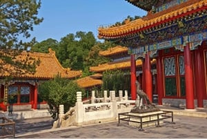 Beijing: Zomerpaleis & thee- of kalligrafie-ervaringstour