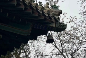 Beijing: Tanzhe Temple Blessing Tour with Guide