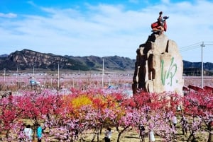 Beijing Taoist Attractions Feature Day Tour (med muligheder)