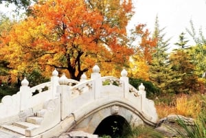 Beijing: Local’s Day—Temple, Market, Dumpling Making & Dance