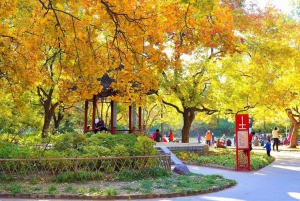 Beijing: Local’s Day—Temple, Market, Dumpling Making & Dance