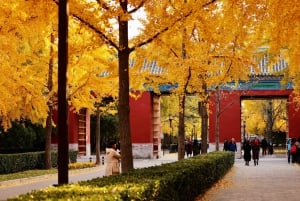 Beijing: Local’s Day—Temple, Market, Dumpling Making & Dance