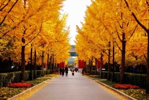 Beijing: Local’s Day—Temple, Market, Dumpling Making & Dance