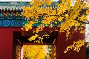 Beijing: Local’s Day—Temple, Market, Dumpling Making & Dance