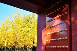 Beijing: Local’s Day—Temple, Market, Dumpling Making & Dance