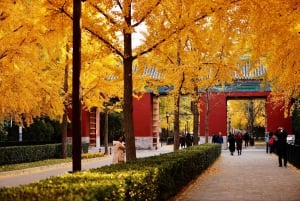 Beijing: Temple of Earth ticket; Serene, Majestic, Ancient