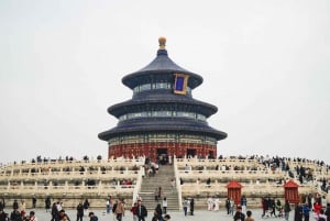 Pekín:Visita en grupo reducido a la Ciudad Prohibida y el Templo del Cielo