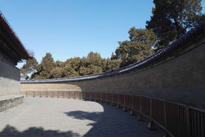 Pechino: Tour del Tempio del Cielo, della Casa del Panda e del Palazzo d'Estate