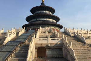 Pechino: Tour del Tempio del Cielo, della Casa del Panda e del Palazzo d'Estate