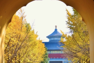 Beijing: Billett til Himmelens tempel og andre alternativer