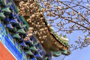 Pékin : transfert au Temple du Ciel avec billet d'entrée