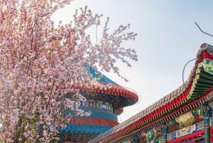 Pékin : transfert au Temple du Ciel avec billet d'entrée