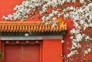 Pékin : transfert au Temple du Ciel avec billet d'entrée