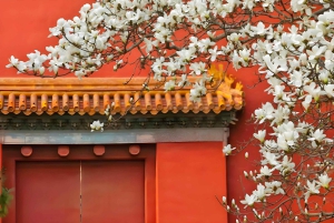 Pekin: transfer do Świątyni Nieba wraz z biletem wstępu