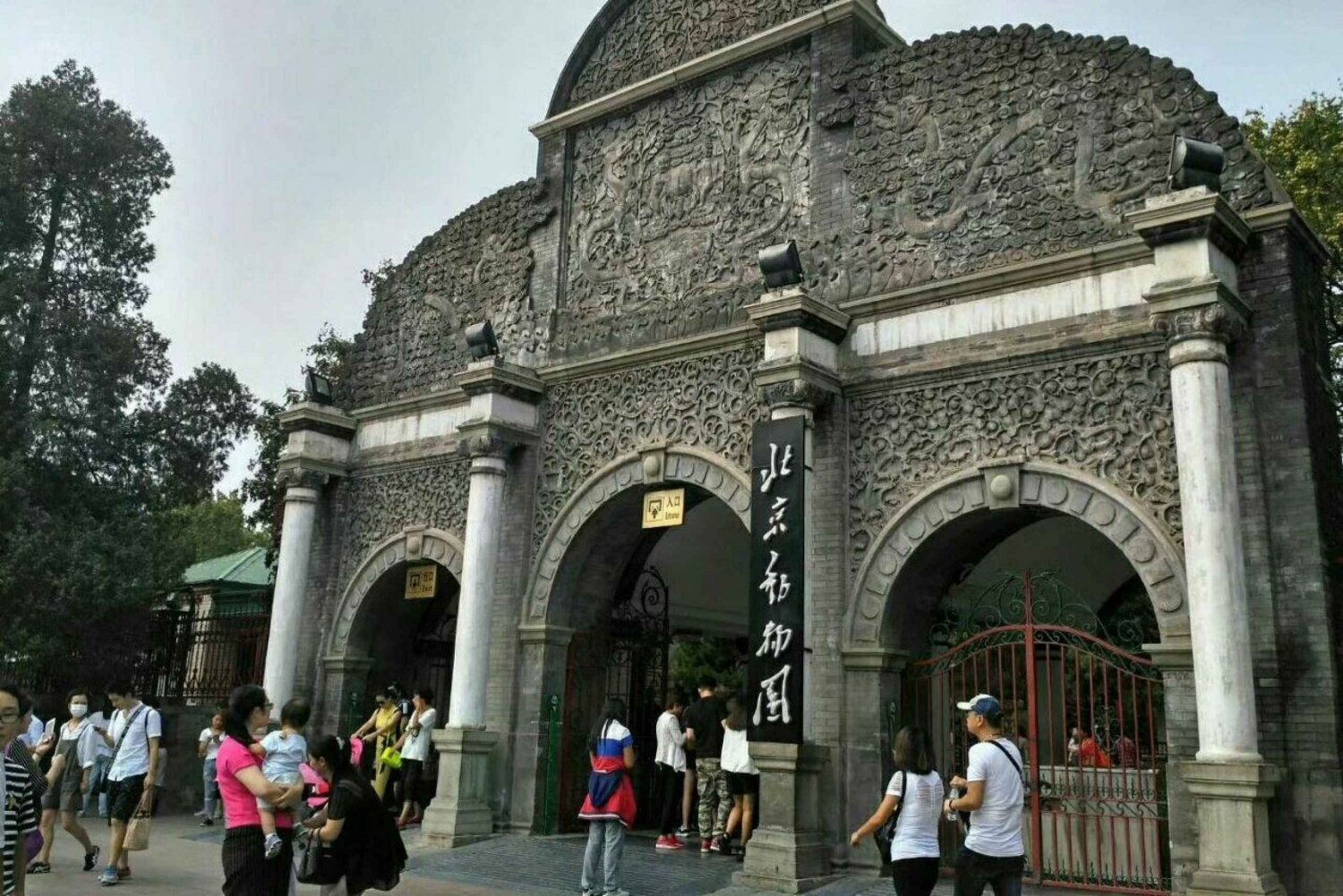 Peking: Inträdesbiljett till Peking Zoo med pandor