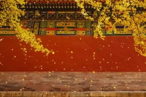 Peking: Inträdesbiljetter till Himmelska fridens torg och Förbjudna staden