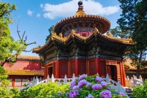 Peking: Inträdesbiljetter till Himmelska fridens torg och Förbjudna staden