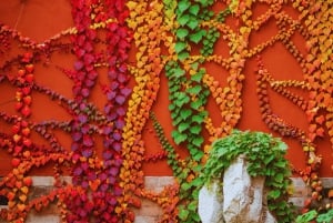 Peking: Kielletty kaupunki: Tiananmenin aukio ja Kielletty kaupunki Opastettu kierros