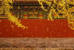 Peking: Kielletty kaupunki: Tiananmenin aukio ja Kielletty kaupunki Opastettu kierros