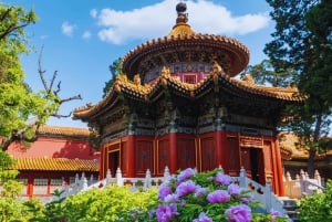 Pechino: Piazza Tienanmen e la Città Proibita: tour guidato della città