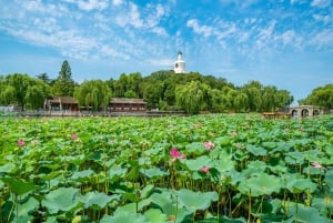 Pechino: Piazza Tienanmen e la Città Proibita: tour guidato della città