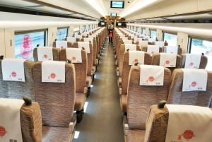 Beijing to Xi'an See Terracotta with Roundtrip Bullet Train
