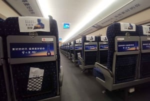 Beijing to Xi'an See Terracotta with Roundtrip Bullet Train