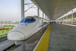 Peking till Xi'an Terracotta Tour med Bullet Train tur och retur