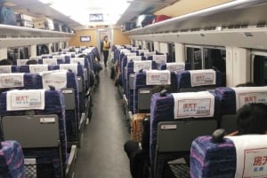 Pekingistä Xi'aniin Terrakotta-kierros edestakaisella luotijunalla