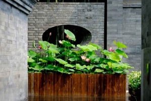 Beijing: Top Michelin Vegetarian Restaurant Reservation