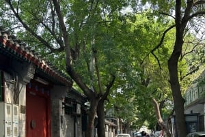 北京ウォーキングツアー：胡同の中庭付き住宅の謎を解き明かしましょう