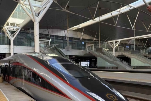 Excursion d'une journée à Pékin-Xi'an pour voir les guerriers en terre cuite, aller-retour en train à grande vitesse