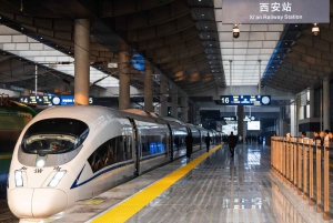 Beijing: Xi'an Terracotta Tour by Roundtrip Bullet Train