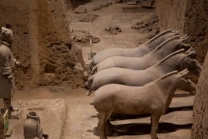 Beijing: Xi'an Terracotta Tour by Roundtrip Bullet Train