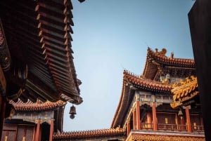 Peking: Yonghe Lama Tempel Tickets mit Guide (optional)