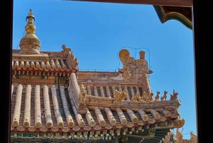 Peking: Yonghe Lama Tempel Tickets mit Guide (optional)