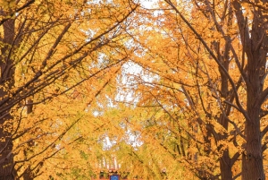 Peking: Yonghe Lama Tempel Tickets mit Guide (optional)