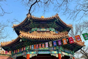 Peking: Yonghe Lama Tempel Tickets mit Guide (optional)
