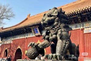 Pékin : billets pour le temple Yonghe Lama avec guide (facultatif)