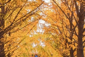 北京：雍和宮（ガイド付きチケット、オプション）