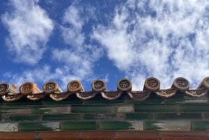 BJ: Tian'anmen&Zakazane Miasto&Pałac Letni itp. (opcjonalnie)