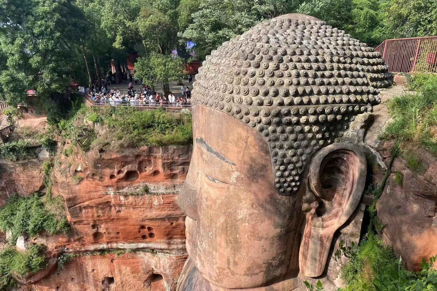 Chengdu: Dagtrip Chengdu met reuzenpanda en Leshan Boeddha