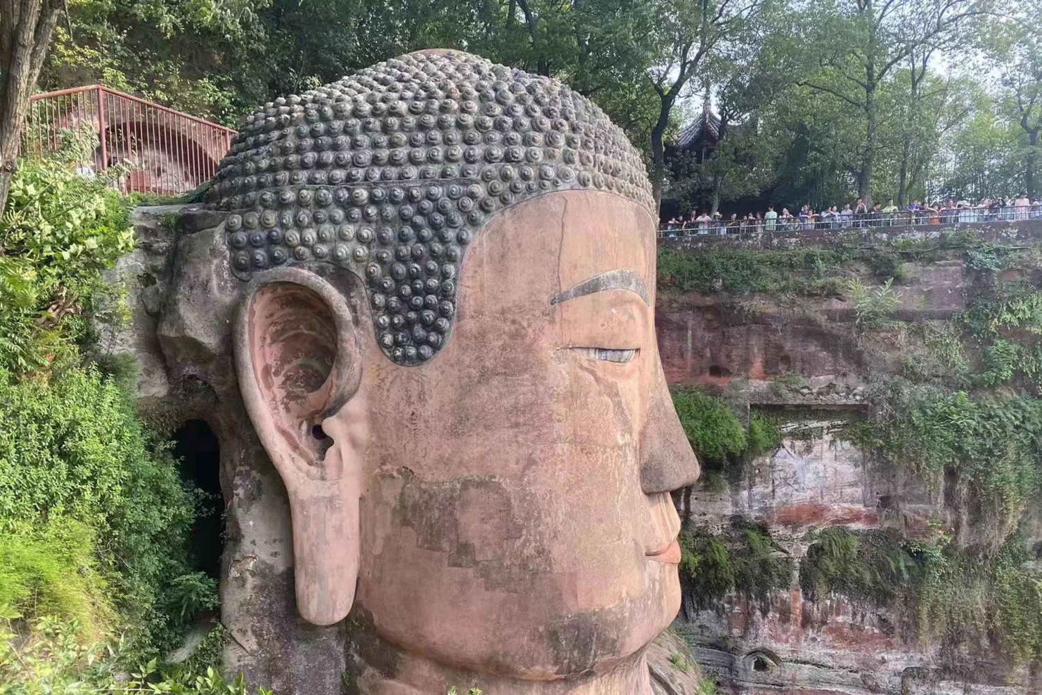 Chengdu: Dagtrip Chengdu met reuzenpanda en Leshan Boeddha