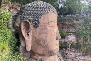 成都：ジャイアントパンダと楽山大仏を見る成都日帰り旅行