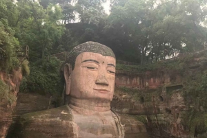 Chengdu: Dagtrip Chengdu met reuzenpanda en Leshan Boeddha