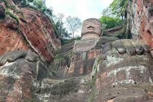 Chengdu: Dagtrip Chengdu met reuzenpanda en Leshan Boeddha