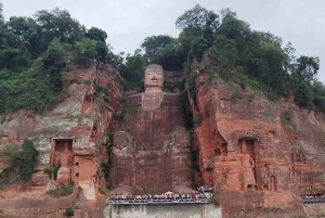 Chengdu: Dagtrip Chengdu met reuzenpanda en Leshan Boeddha