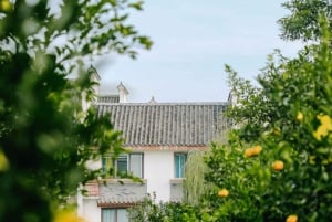 Chengdu: Besuche die chinesische Landschaft