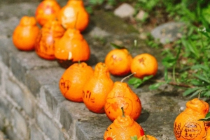 Chengdu: Besuche die chinesische Landschaft